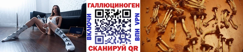 Псилоцибиновые грибы Psilocybe Нягань